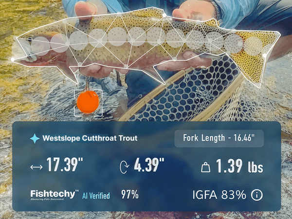 Accurately measure fish from your smartphone